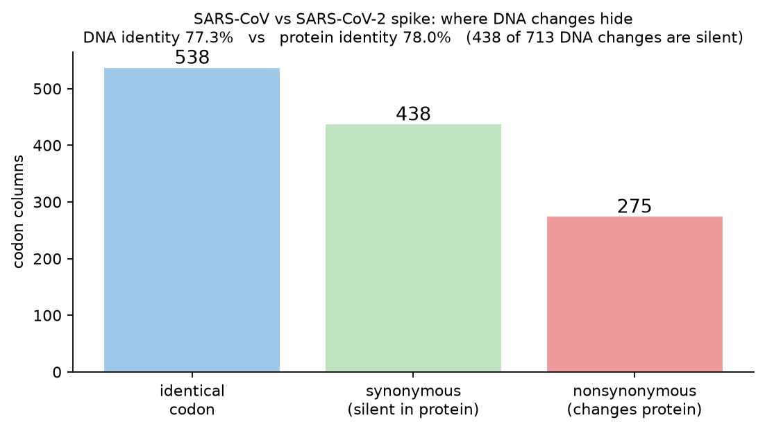 Synonymous versus nonsynonymous changes in the SARS spike
