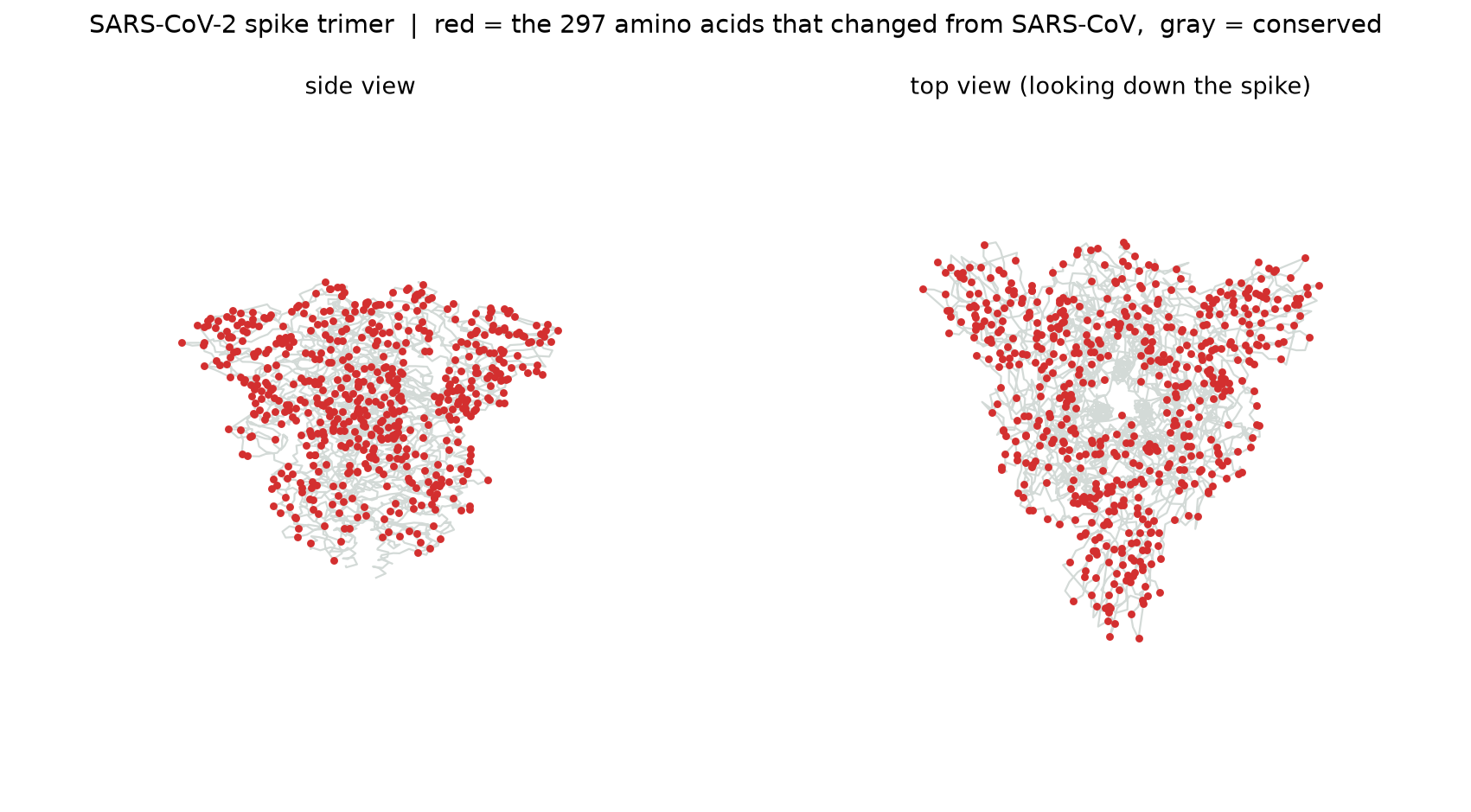 Changed residues mapped onto the spike structure